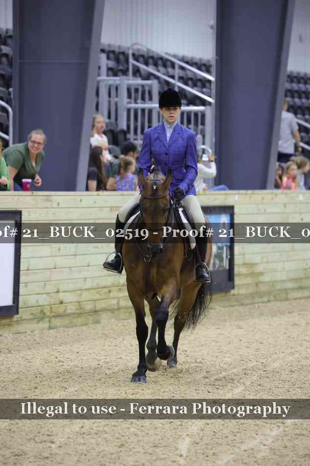 Proof 21_BUCK_02519