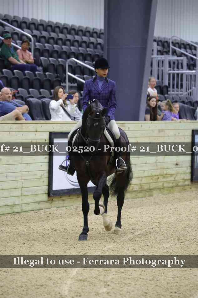 Proof 21_BUCK_02520