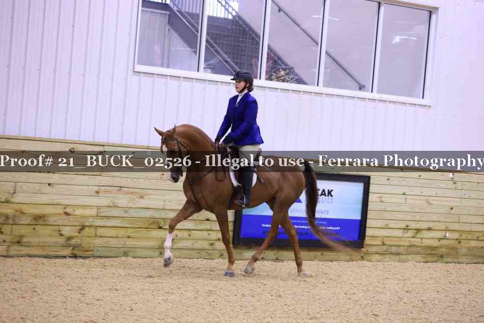 Proof 21_BUCK_02526