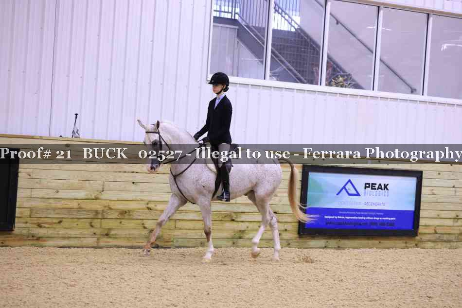 Proof 21_BUCK_02527