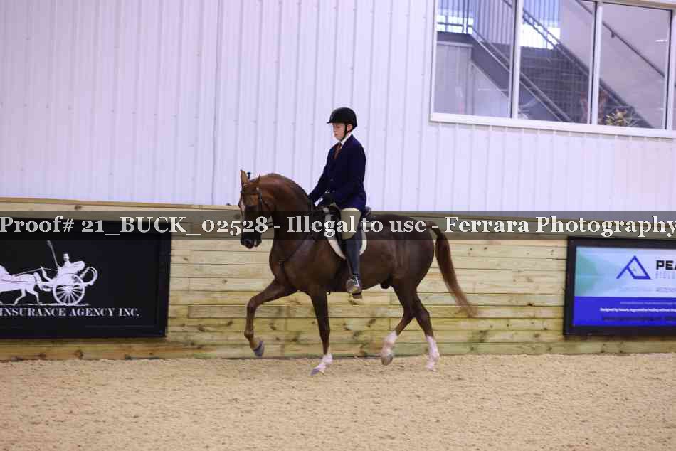 Proof 21_BUCK_02528