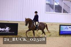 21_BUCK_02528 proof