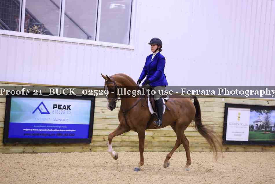 Proof 21_BUCK_02529