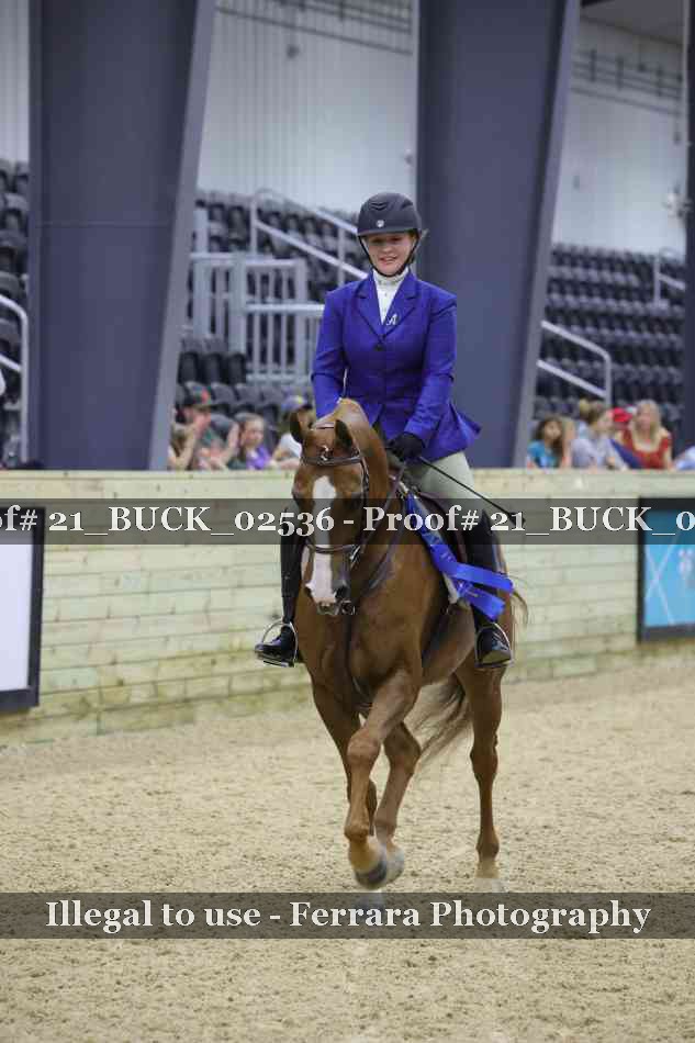 Proof 21_BUCK_02536