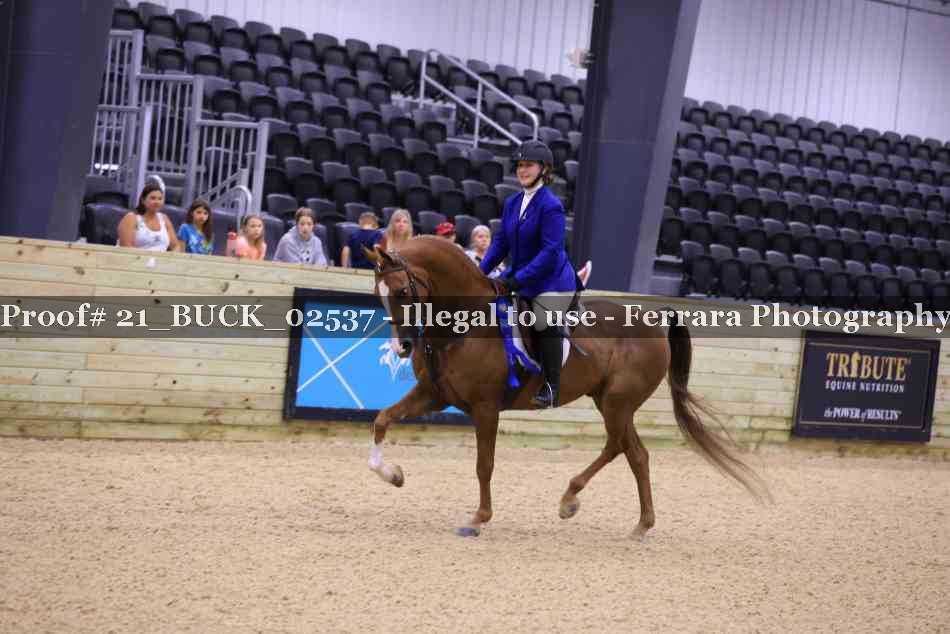 Proof 21_BUCK_02537
