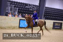 21_BUCK_02537 proof
