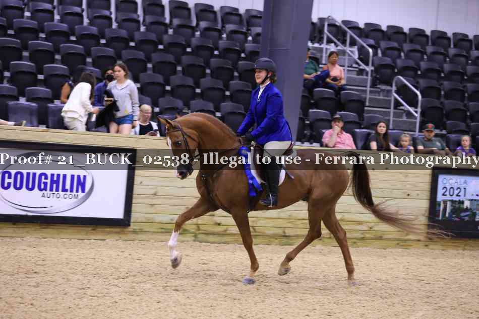 Proof 21_BUCK_02538