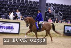 21_BUCK_02538 proof
