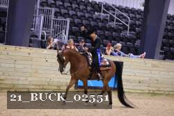 21_BUCK_02551 proof