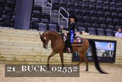 21_BUCK_02552 proof