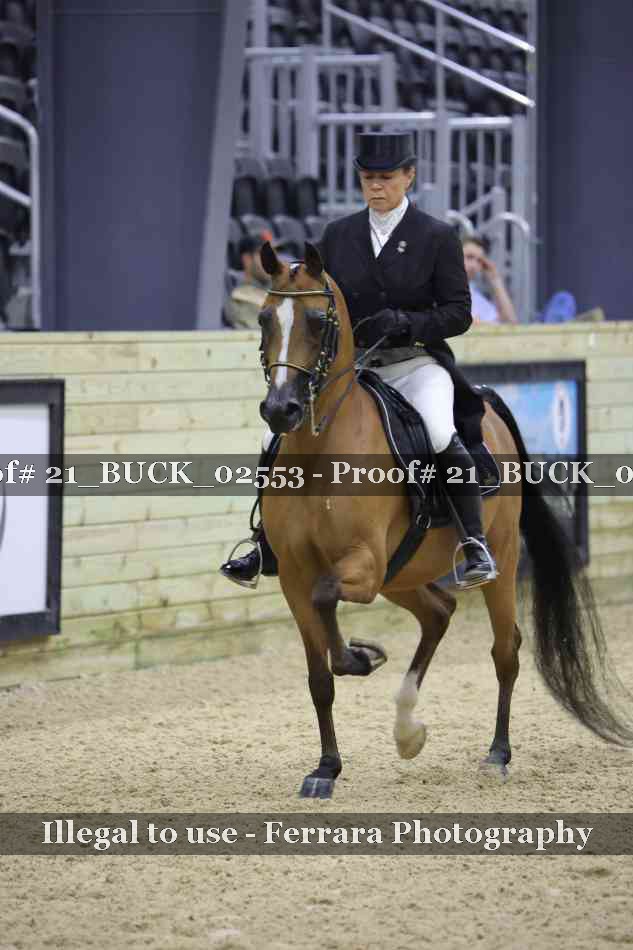 Proof 21_BUCK_02553