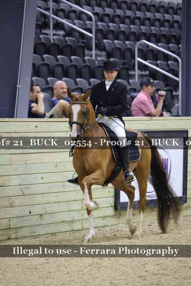 Proof 21_BUCK_02554