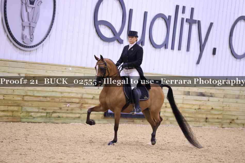 Proof 21_BUCK_02555