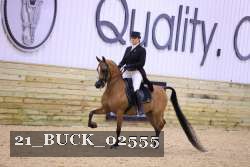 21_BUCK_02555 proof