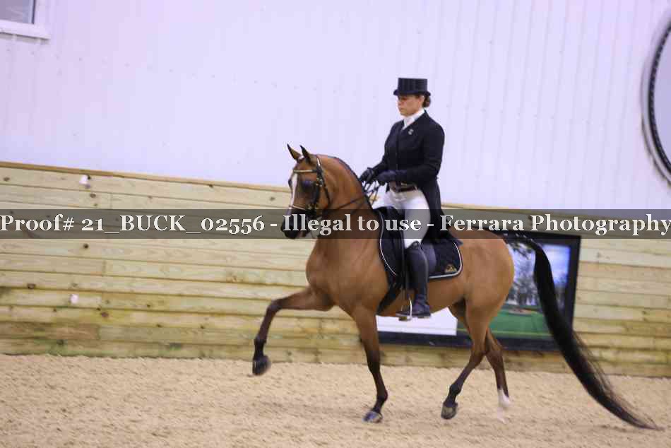 Proof 21_BUCK_02556
