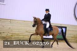 21_BUCK_02556 proof