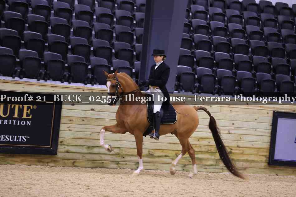 Proof 21_BUCK_02557