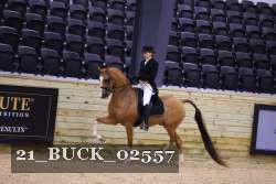 21_BUCK_02557 proof