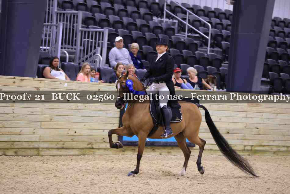 Proof 21_BUCK_02560