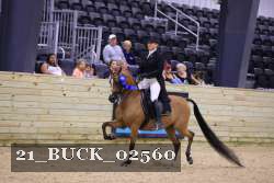 21_BUCK_02560 proof