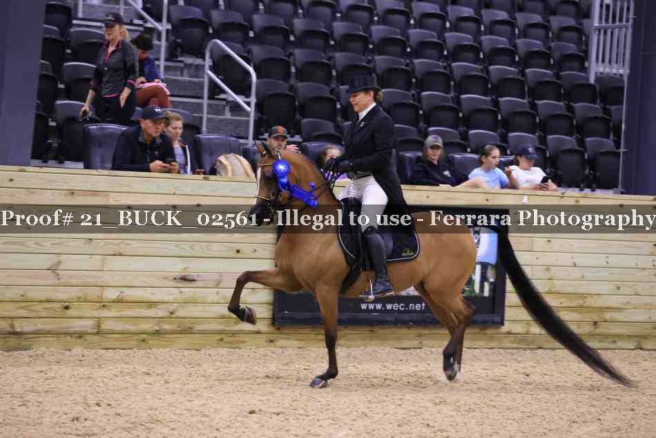 Proof 21_BUCK_02561