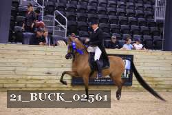 21_BUCK_02561 proof