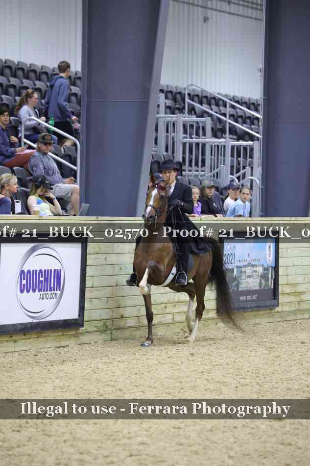 Proof 21_BUCK_02570