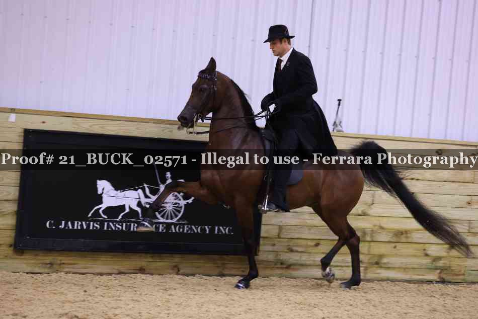 Proof 21_BUCK_02571