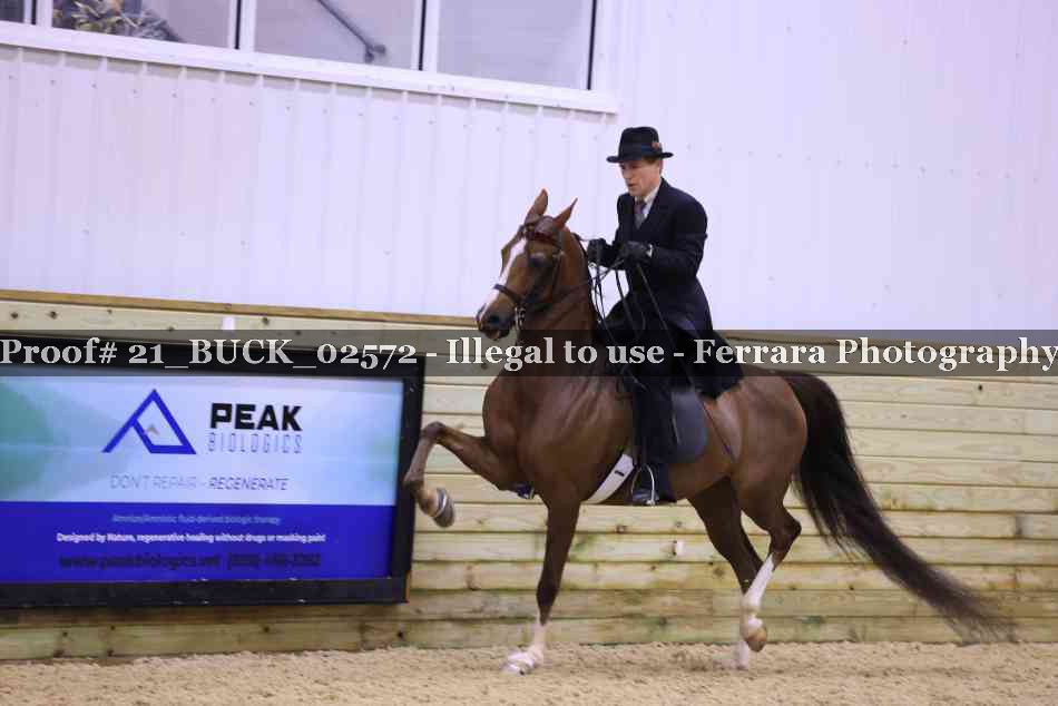 Proof 21_BUCK_02572