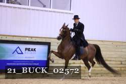 21_BUCK_02572 proof