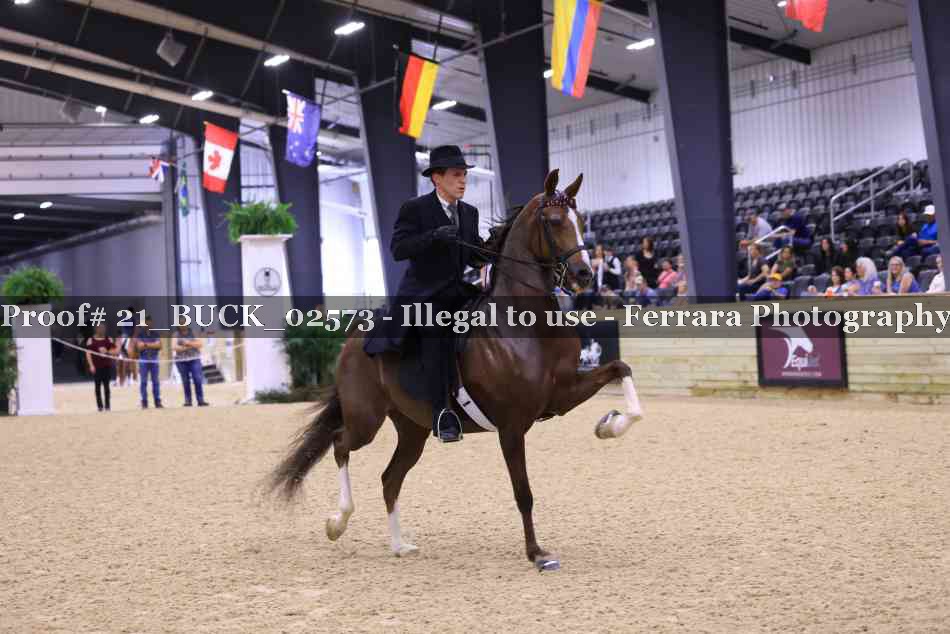 Proof 21_BUCK_02573