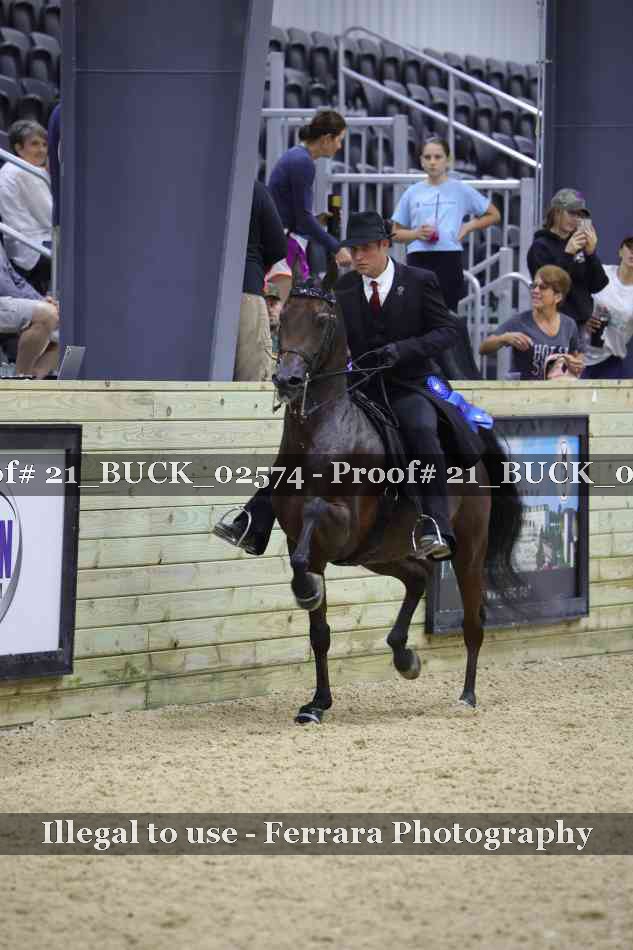 Proof 21_BUCK_02574