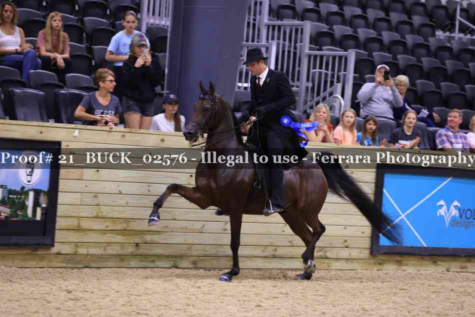 Proof 21_BUCK_02576