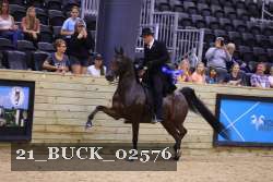 21_BUCK_02576 proof
