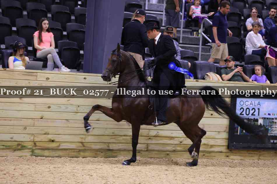 Proof 21_BUCK_02577