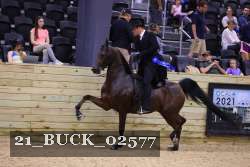 21_BUCK_02577 proof