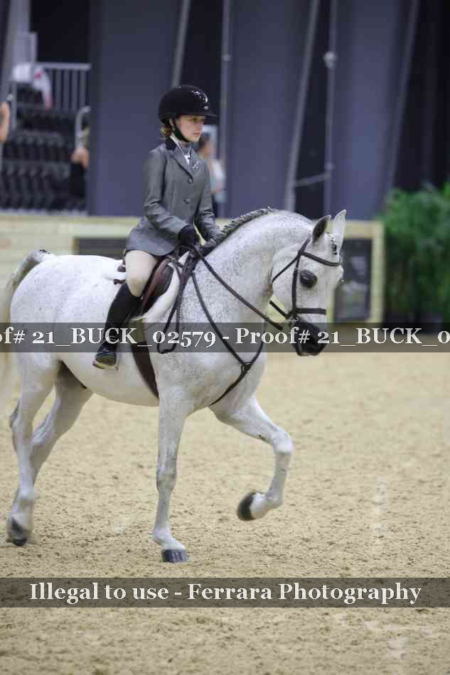 Proof 21_BUCK_02579