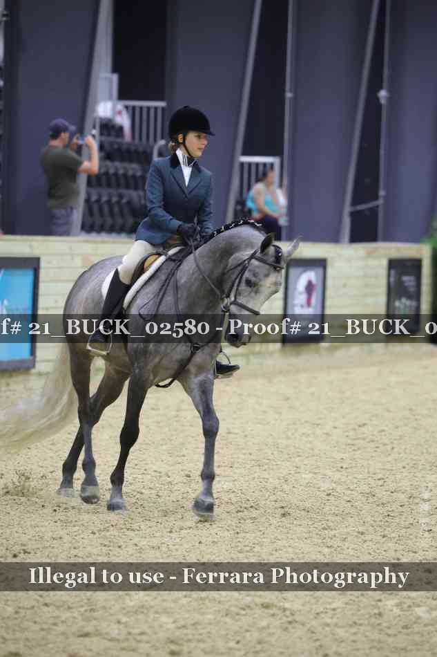 Proof 21_BUCK_02580