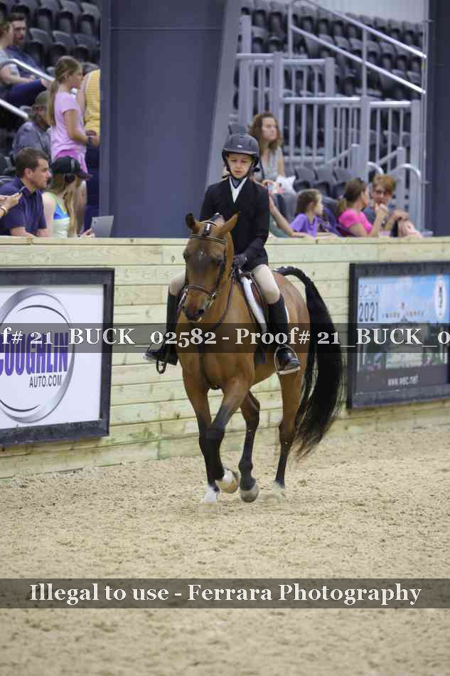 Proof 21_BUCK_02582