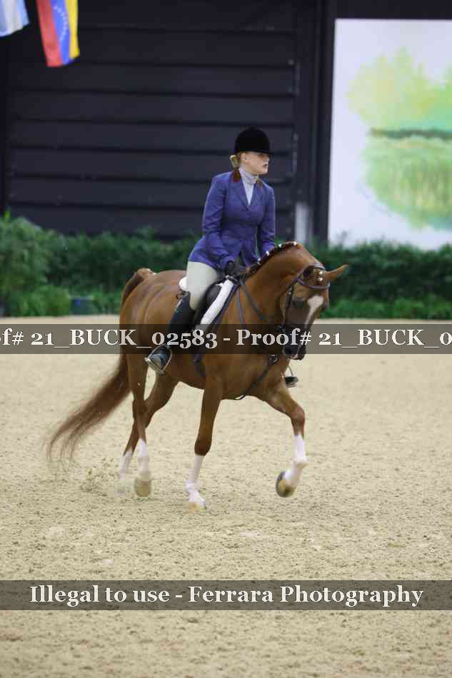 Proof 21_BUCK_02583