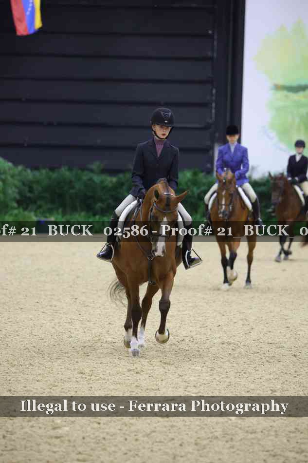 Proof 21_BUCK_02586