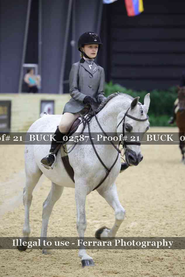 Proof 21_BUCK_02587