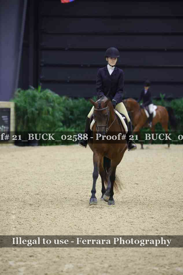 Proof 21_BUCK_02588
