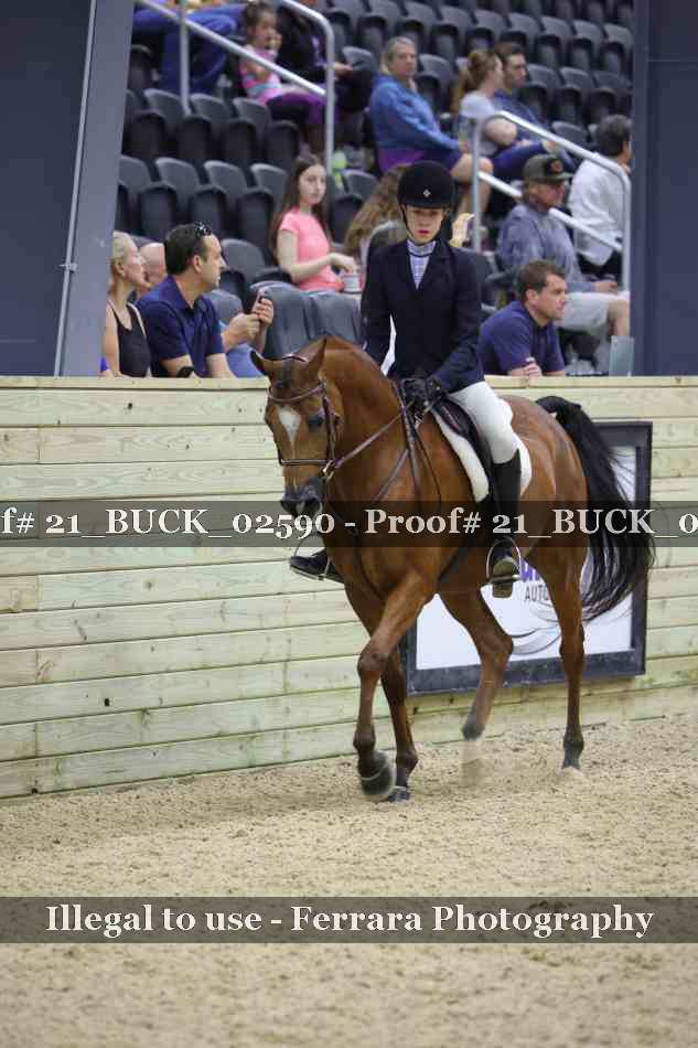 Proof 21_BUCK_02590