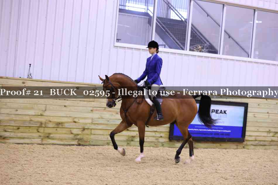 Proof 21_BUCK_02595