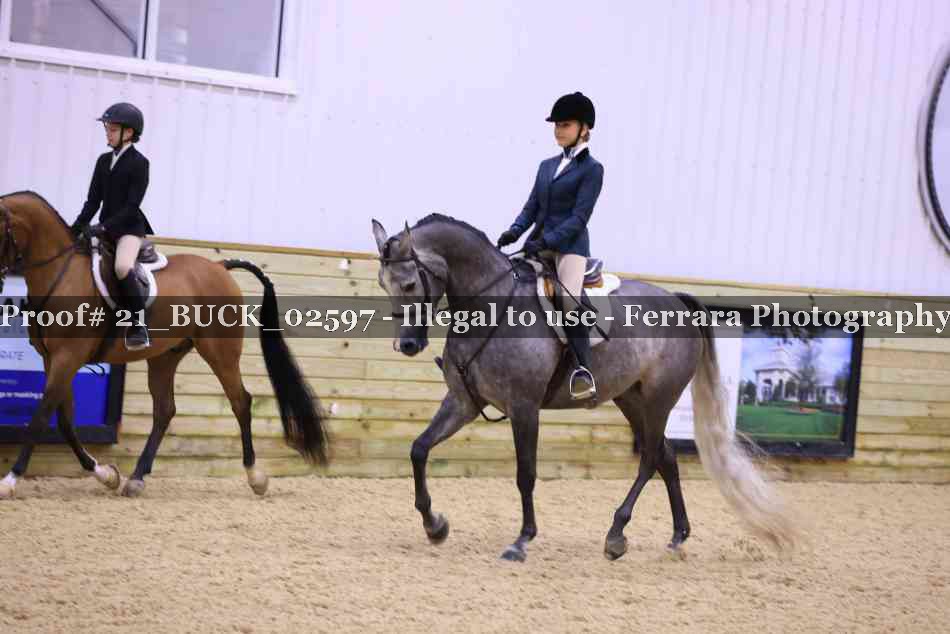 Proof 21_BUCK_02597