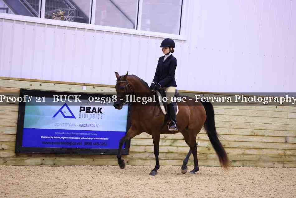 Proof 21_BUCK_02598