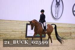21_BUCK_02599 proof