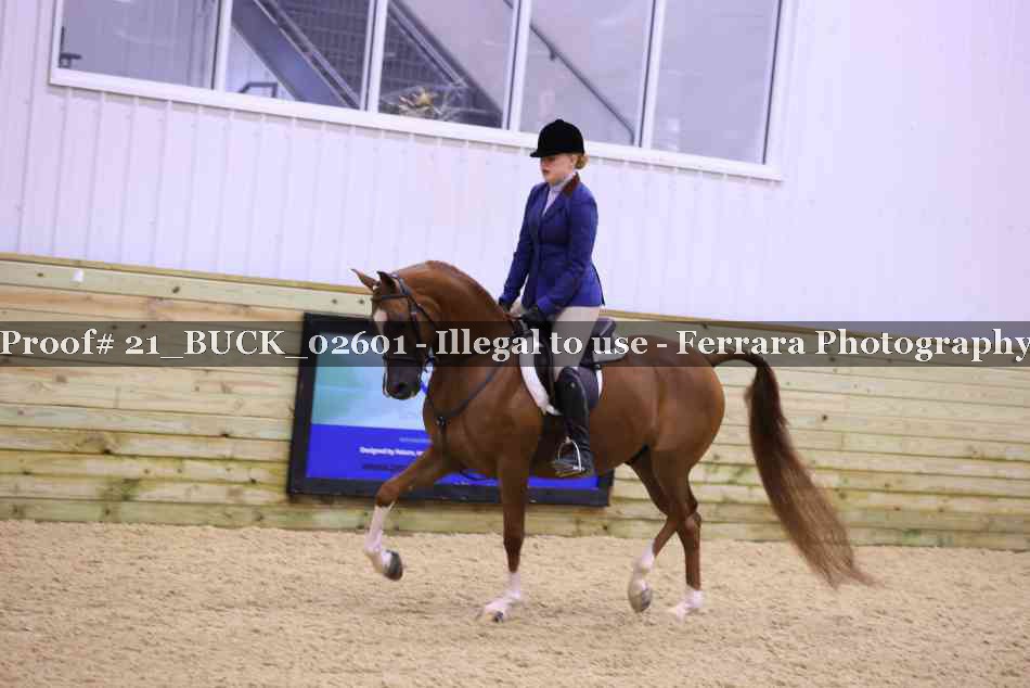 Proof 21_BUCK_02601
