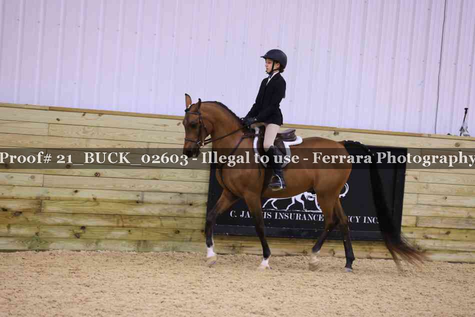 Proof 21_BUCK_02603